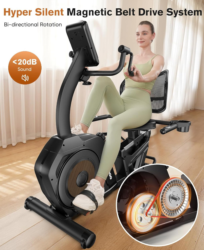 Recumbent Exercise Bike Dual Motion Arm Leg Exercisers for Senior Home Training