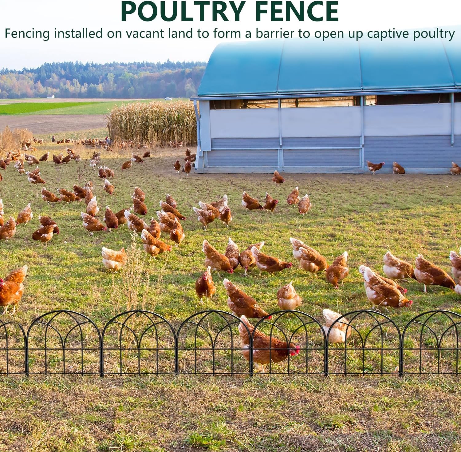 Small Garden Fence Animal Barrier, W12.55*H16.53 Decorative Fence Panel, No Dig