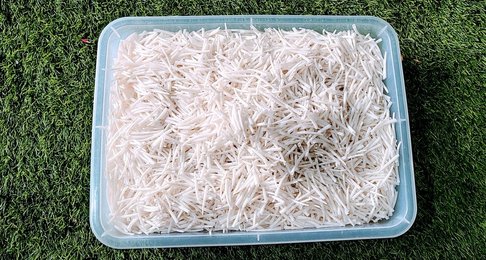 dentalium shells 5 kg - 11.02 Lbs.