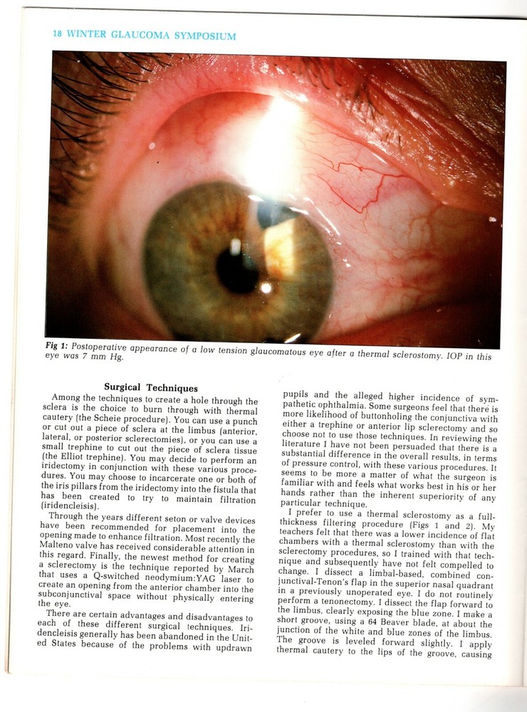 Third Annual Winter Glaucoma Symposium - Cancun, Mexico 1987 - Synopsis Program