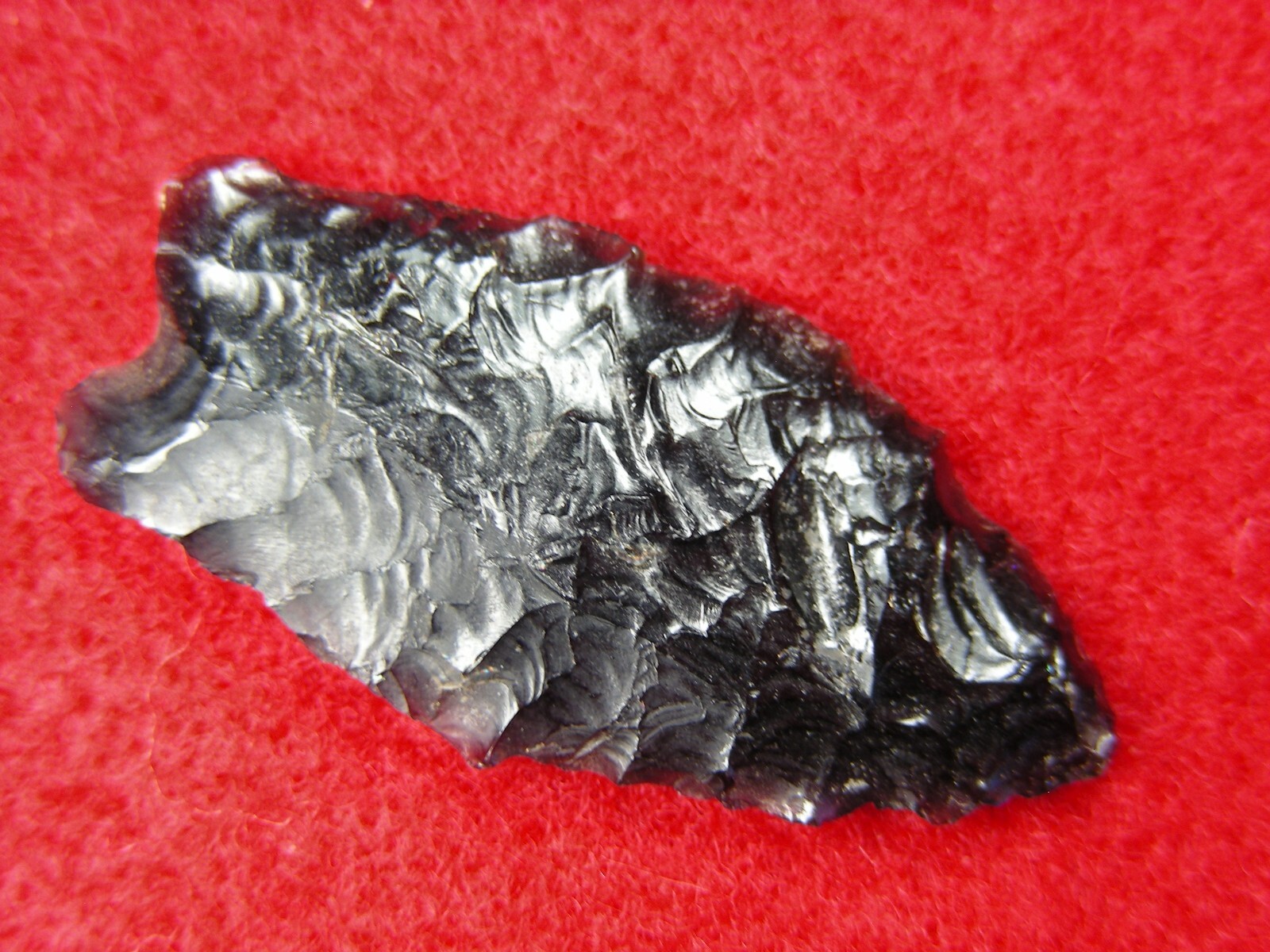 HUMBOLDT 1-1/2" CALIFORNIA Authentic Indian Relics