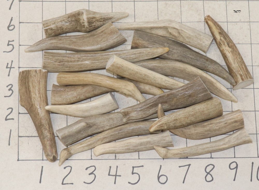 19 Deer/Elk Antler Tines Tips Forks Ys Doubletons Crafts