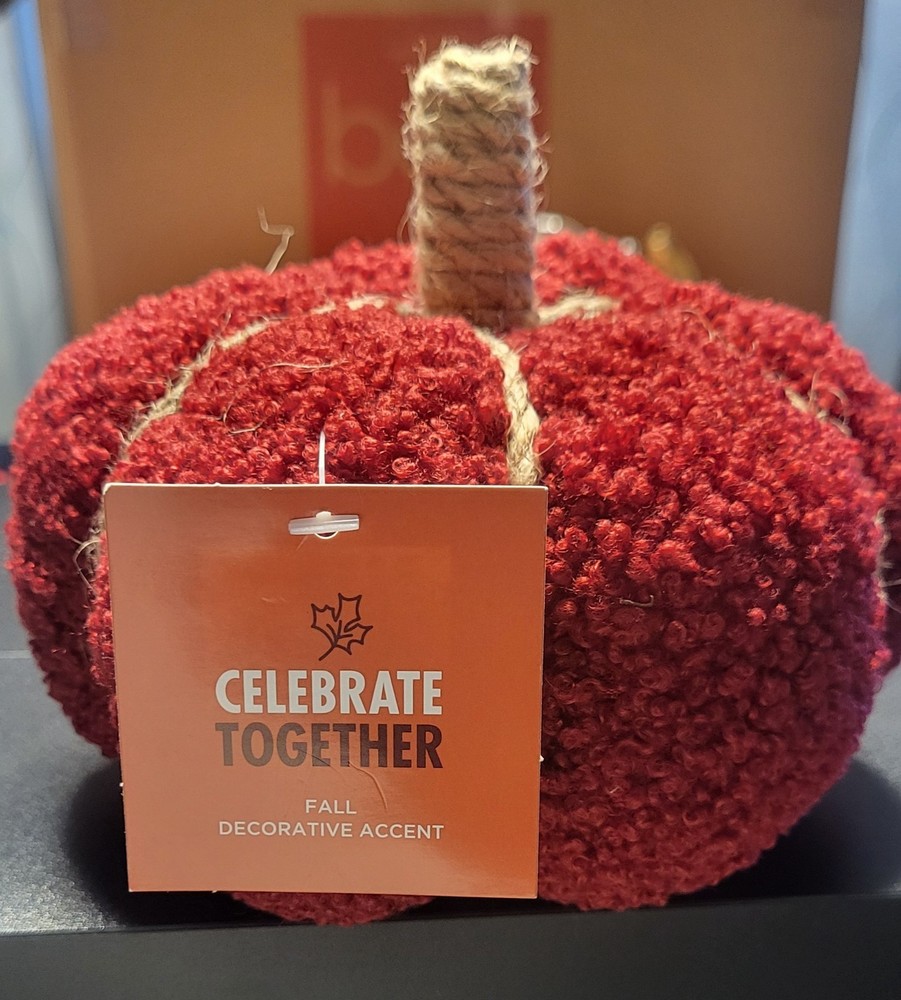Celebrate Together™ Boucle Pumpkin