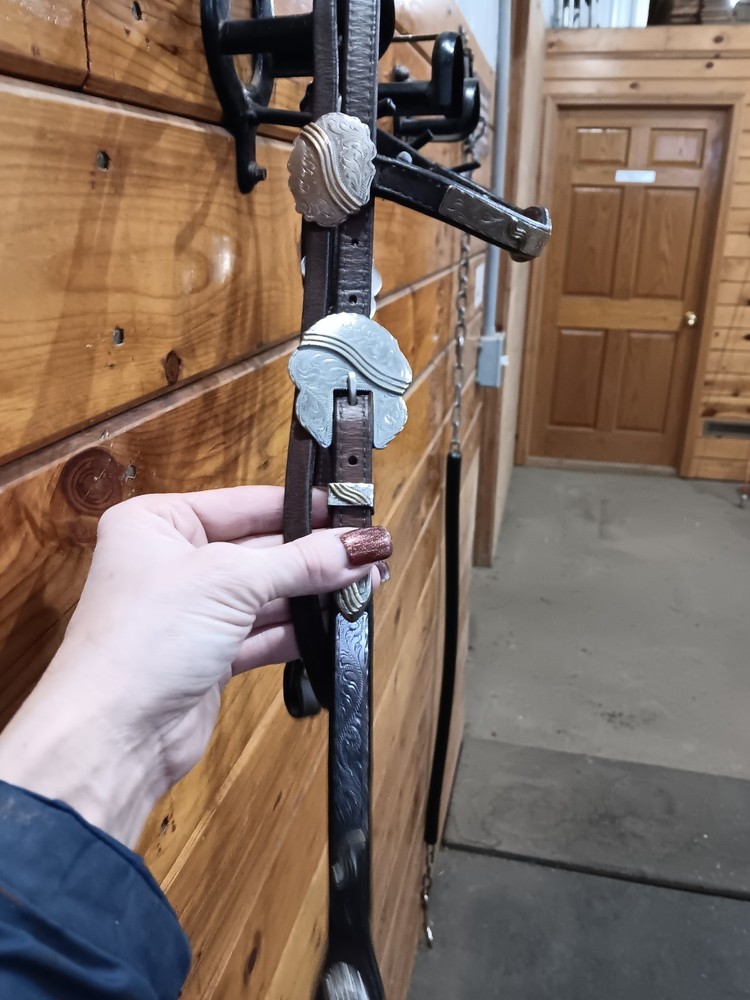 Circle Y Show Headstall