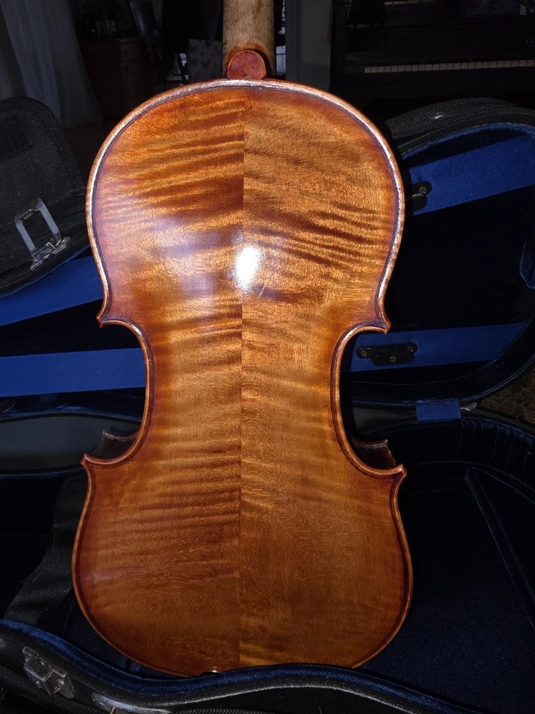 Aceto ISI 5 string acoustic electric violin