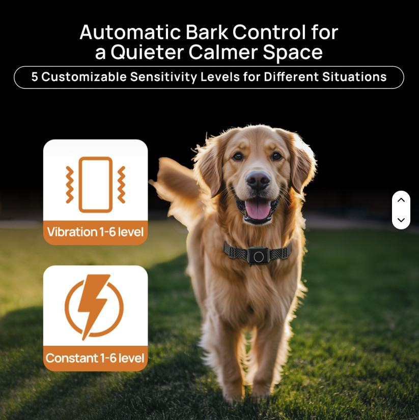 TQT 4-in-1 Wireless Dog Fence System Electric Dog Fence with Training Collar