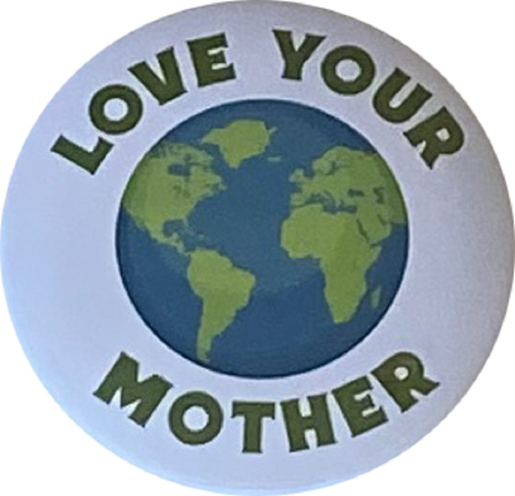 Climate Change Pins - Stop Climate Change buttons - Set of 8, 2.25 inches