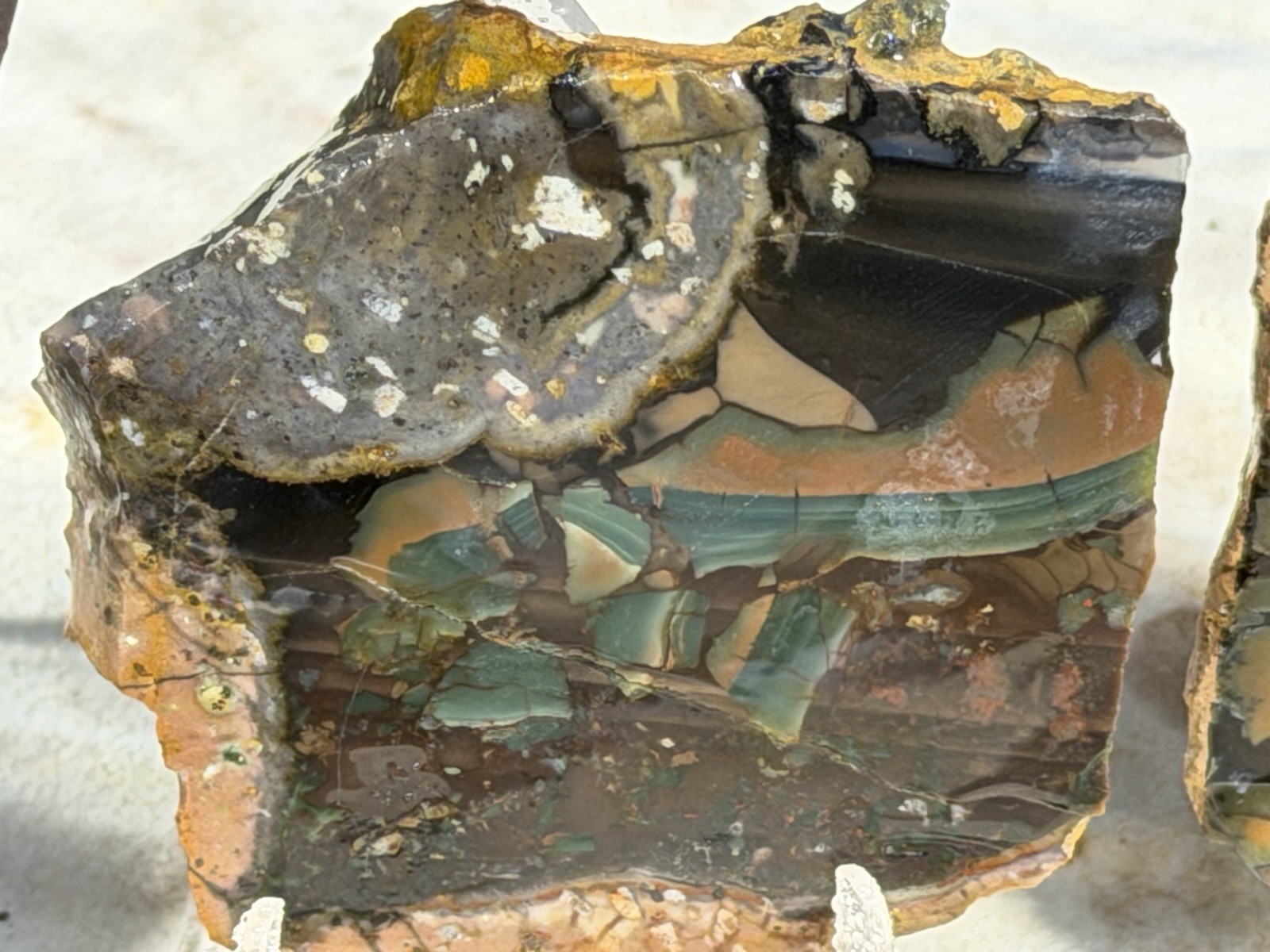 Whiskey Creek Jasper Slab Set, Lot #311