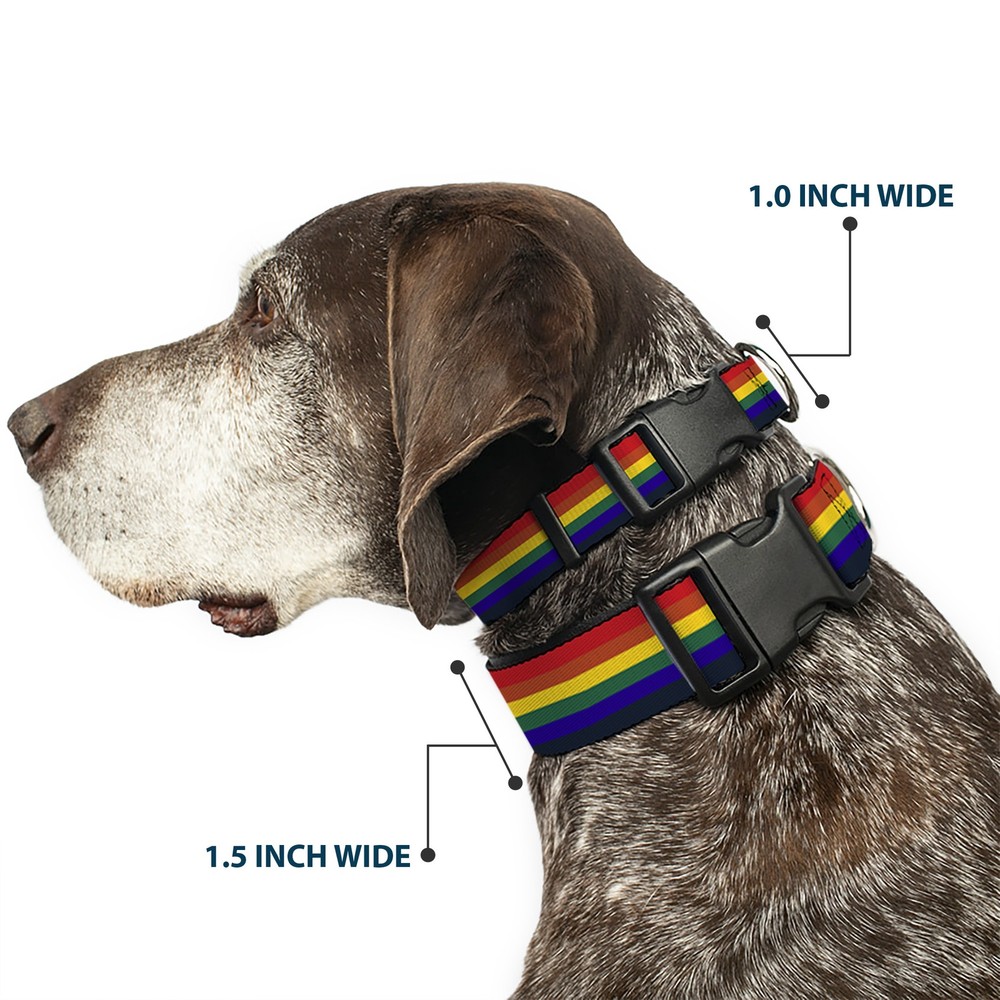 Plastic Clip Collar Rainbow NARROW-Medium 8.5-12"