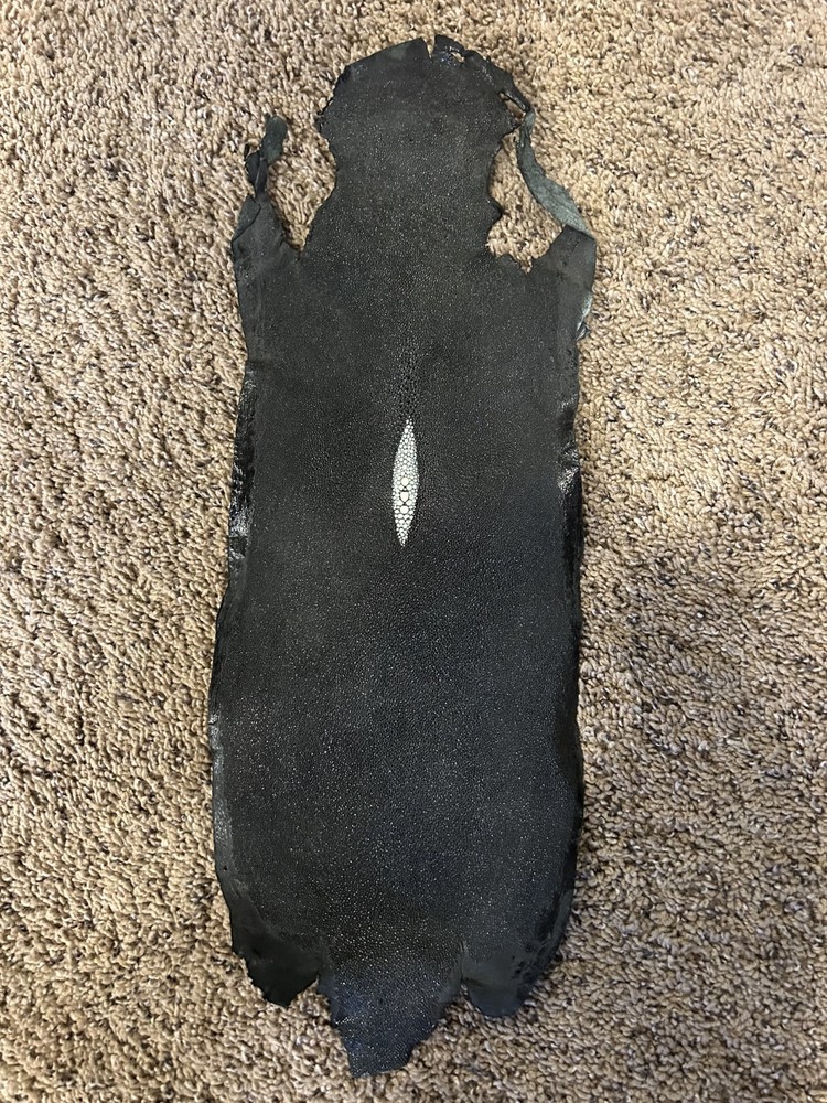 Stingray Hide