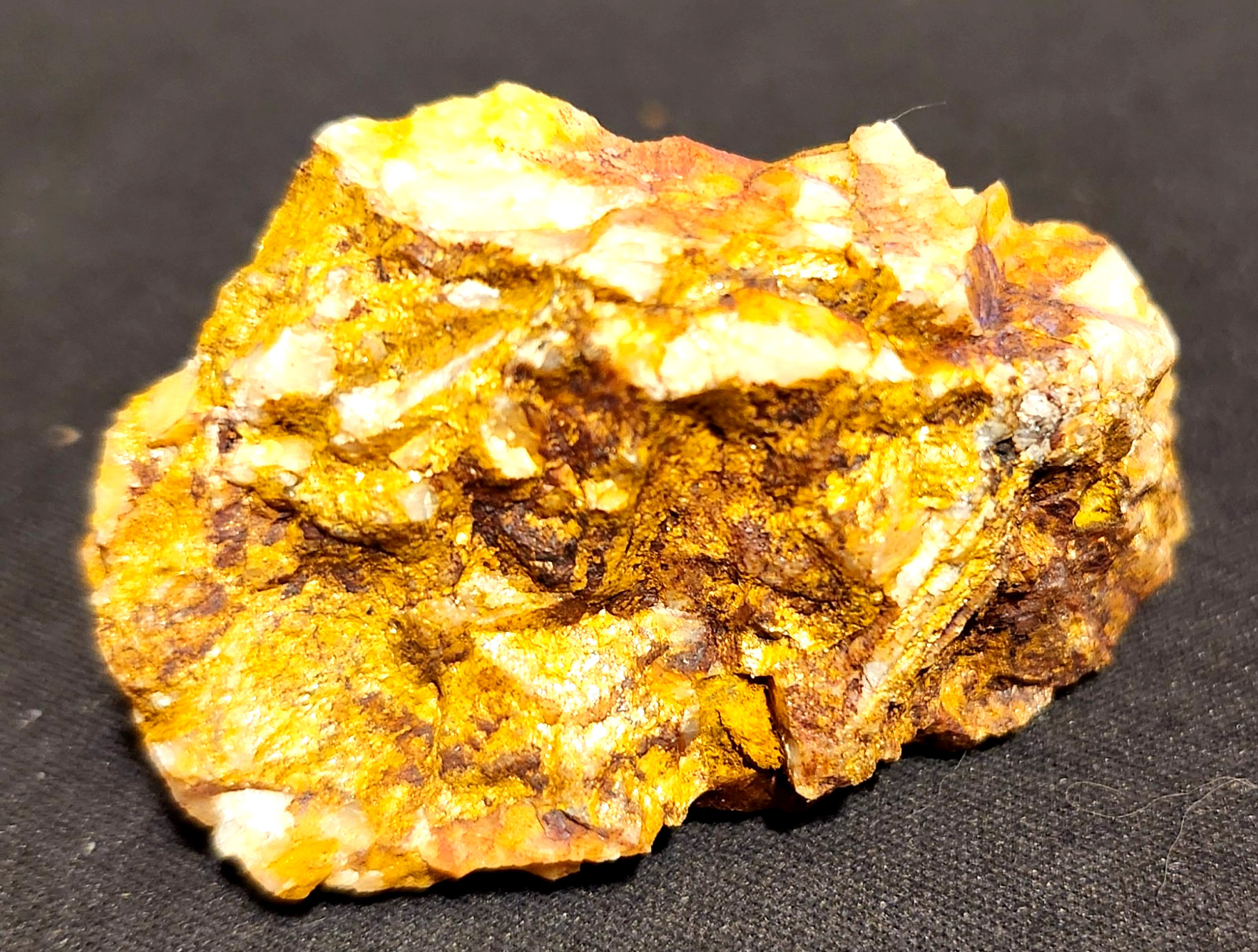 Gold Ore Specimen /Quality Visible Gold