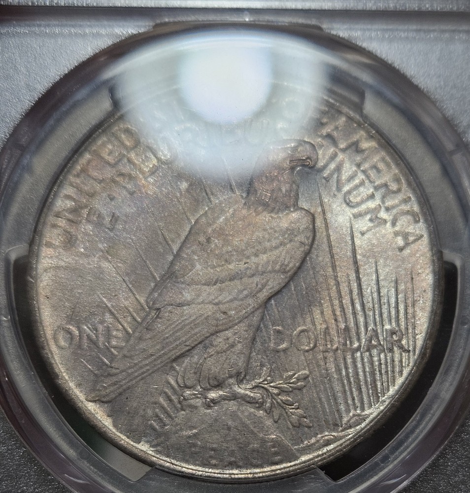 1923-P Silver Peace Dollar $1 PCGS MS65