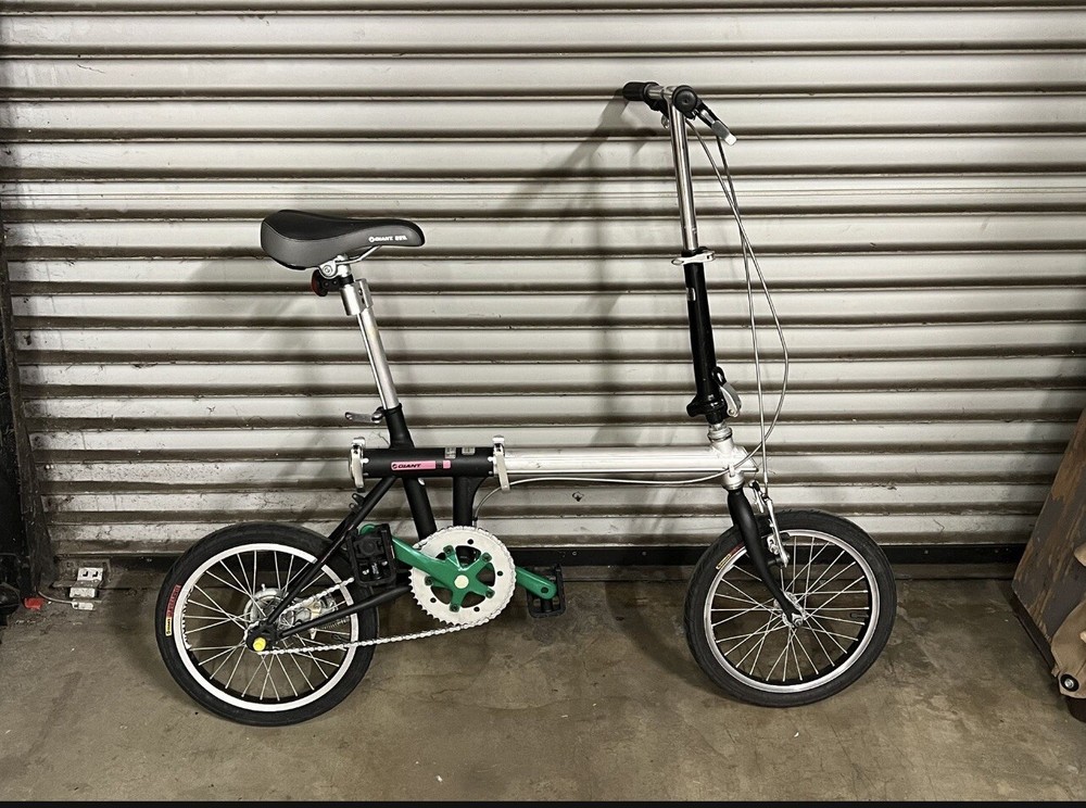 GIANT 16in Extend Frame Bike