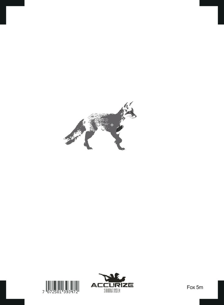 Front target for Accurize shooting system