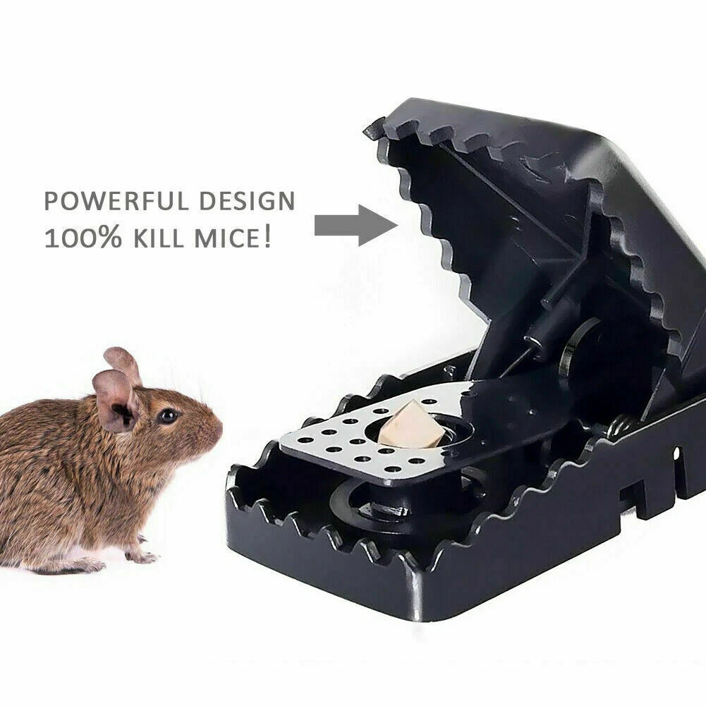 6 Pack Mouse Traps Rat Mice Killer Snap Trap Power Rodent Heavy Duty Pest Trap