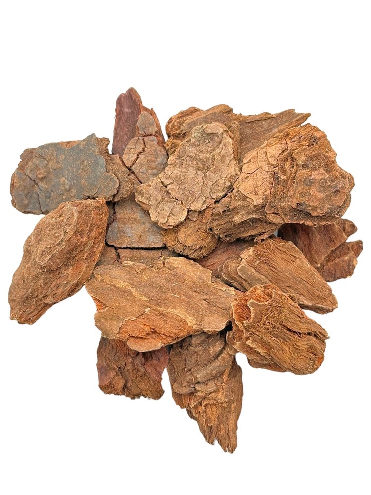 Jezebel Root - 28 Grams