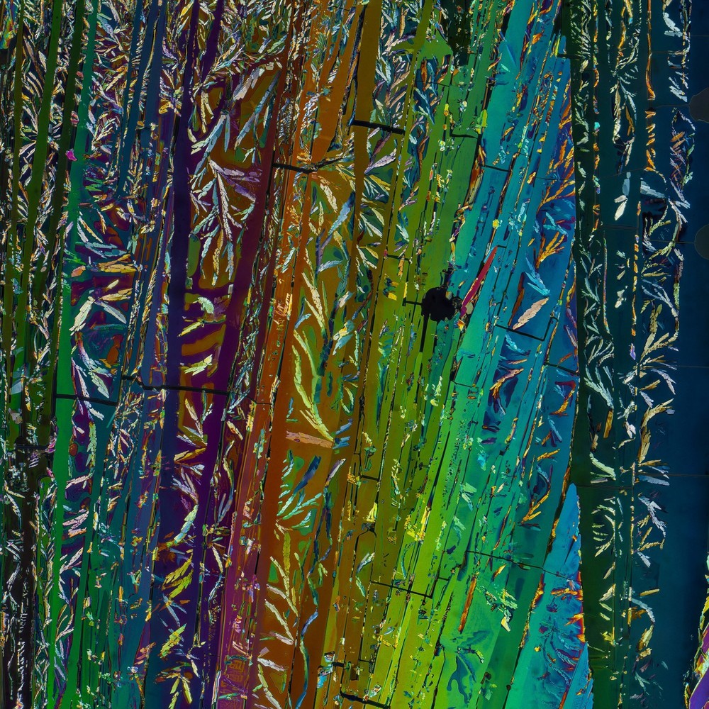 Microscope slide for polarized light, OXALIC ACID