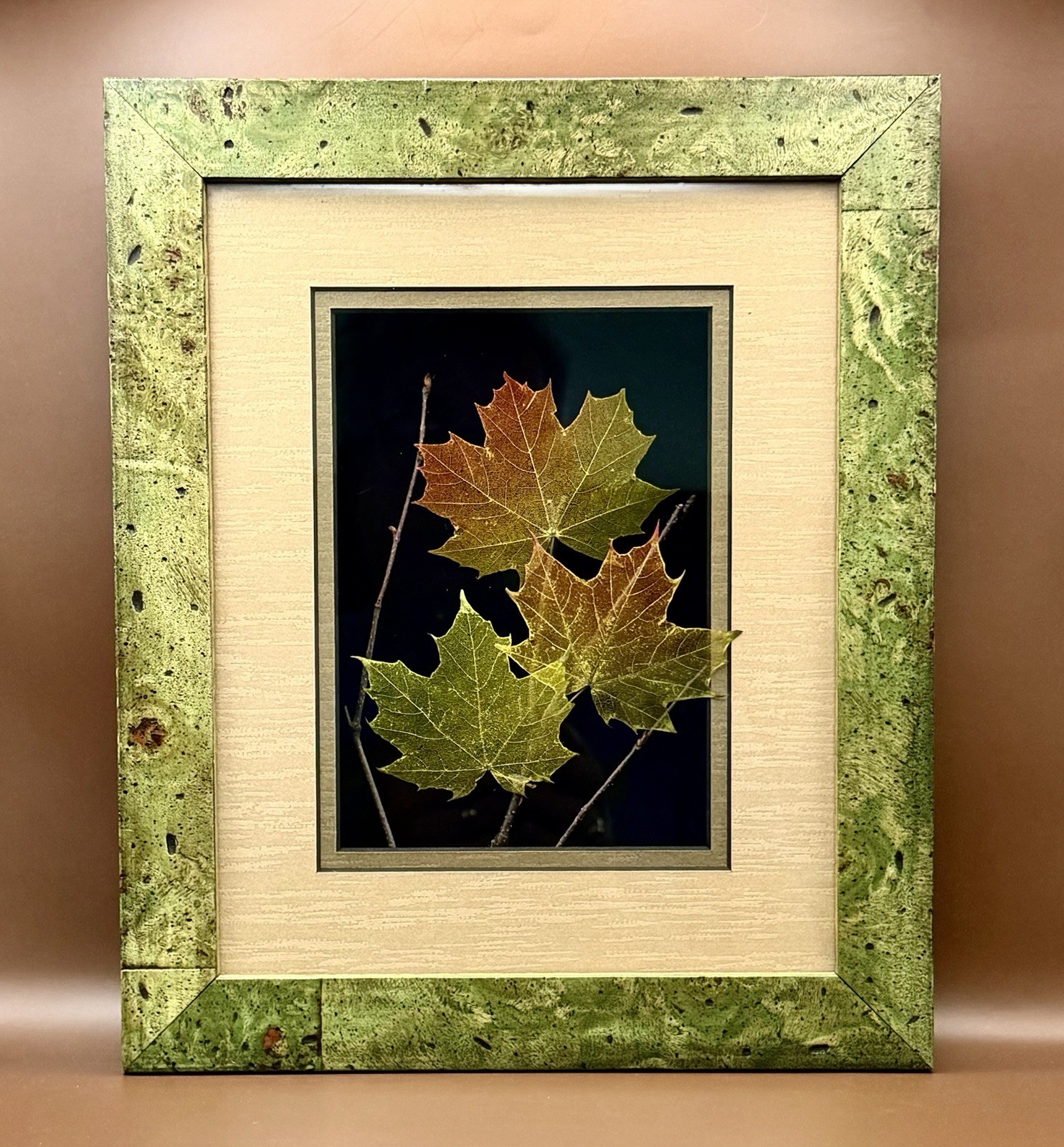 Booker Morey – Leaf Lines Maple Leaf Shadowbox #5/5759 Framed Botanical Skeleton