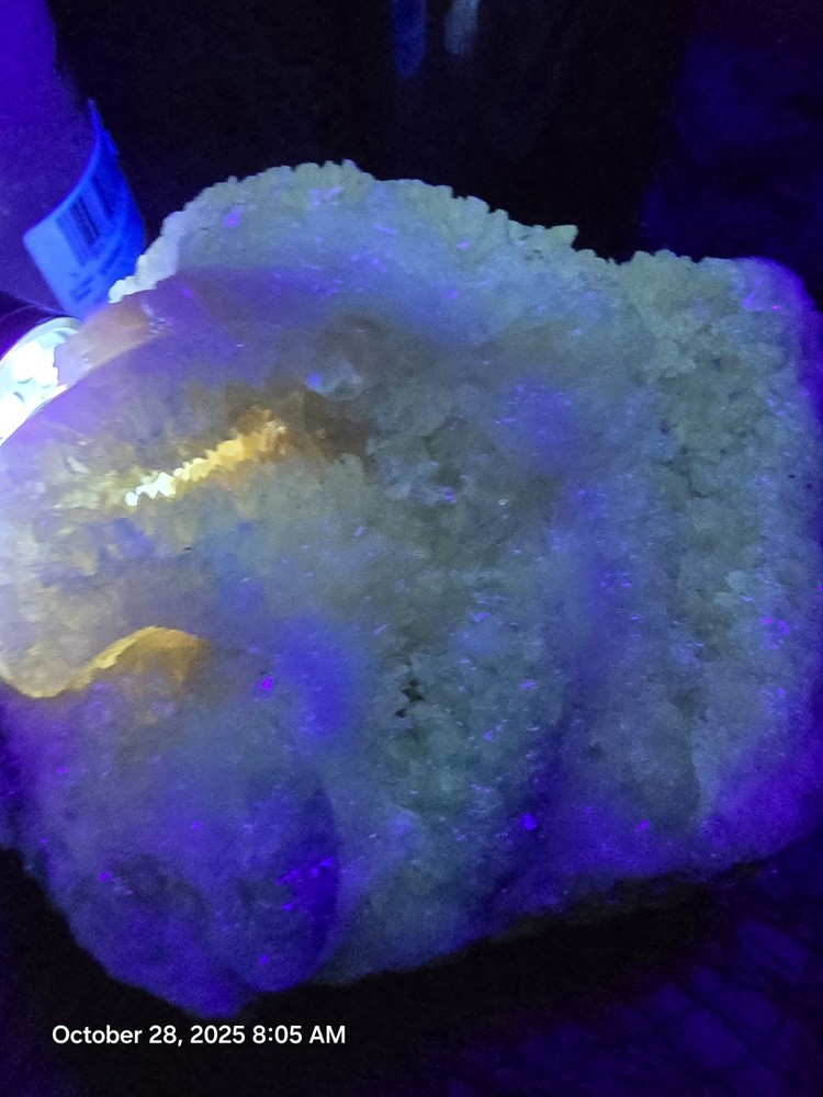 Crystal Shell Calcite Filled 1 million Yr+ Phosphorescent