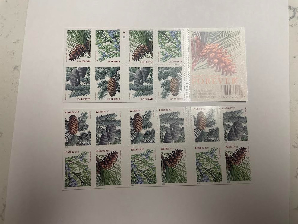 Holiday Evergreens--US  Postage-Free shipping