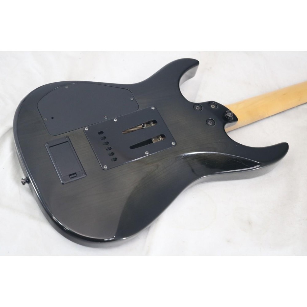 Fernandes Fr-75S