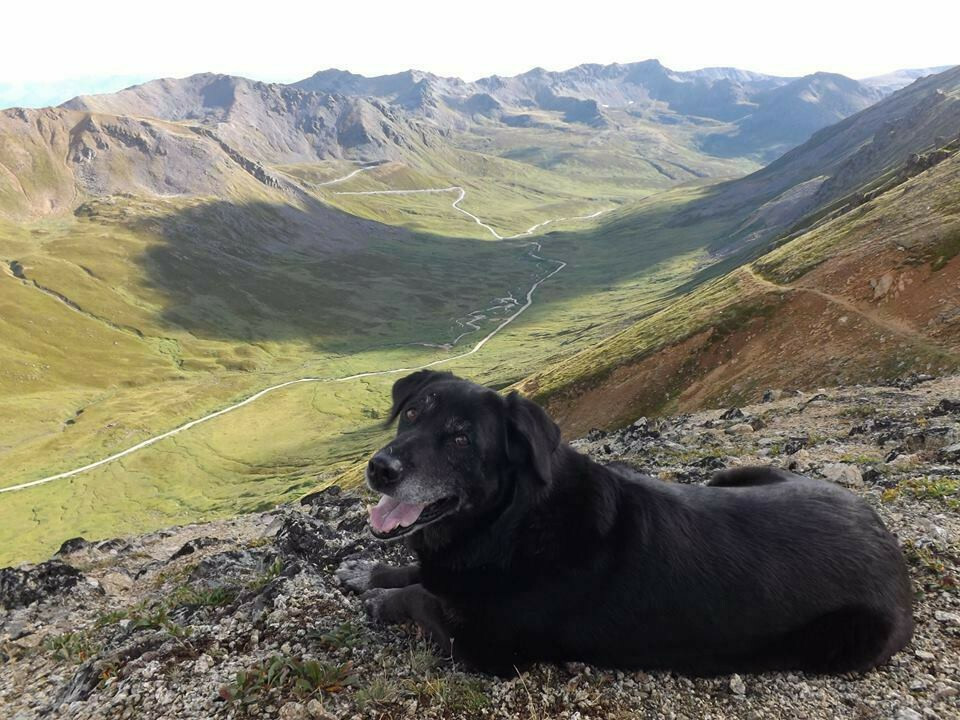 1981 Orange County Rhinos v Los Angeles Mustangs Calif FB League Semipro Program