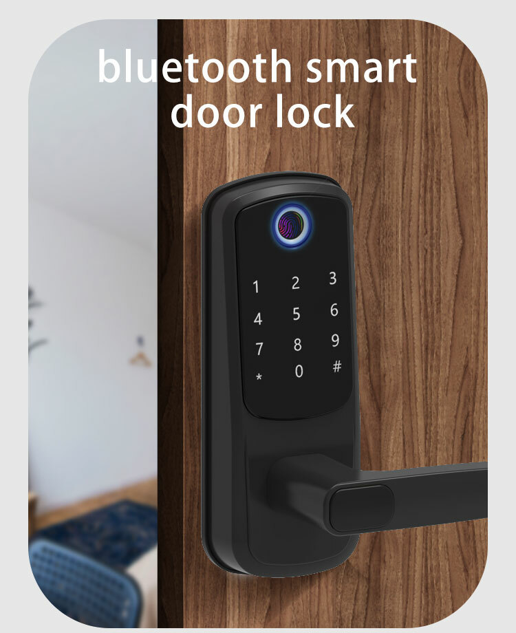 Smart Digital Door Lock, Electronic, Fingerprint, Password & Smartphone (VIDEO)