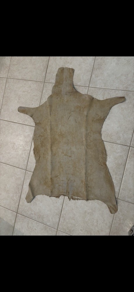 Real Kudu Hide Skin Genuine Leather Hide