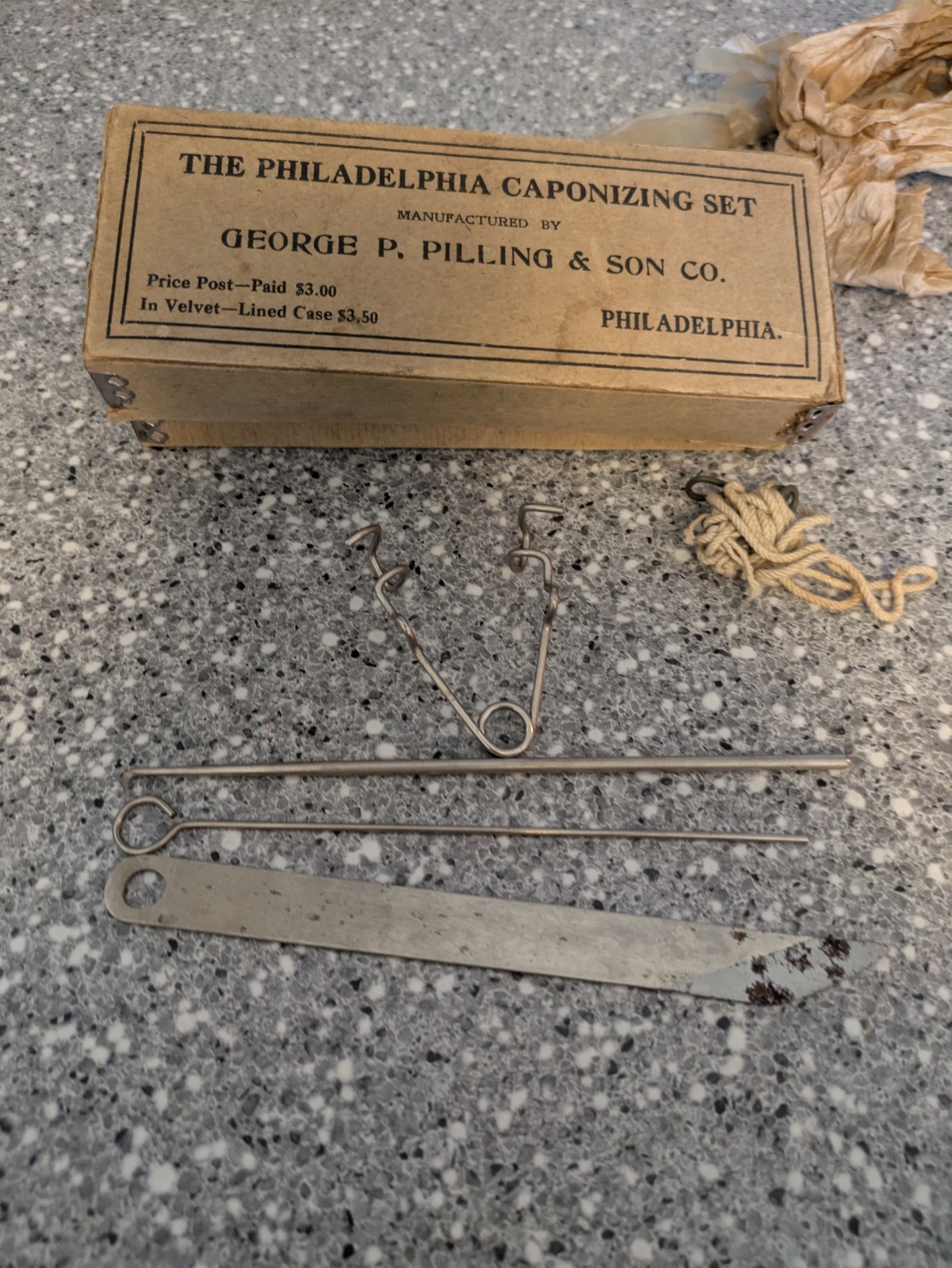 Vintage Lot of Taxidermy Instruments/Tools or Medical Tools