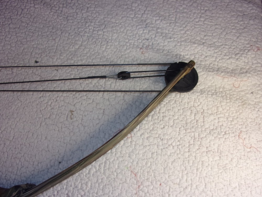 Bear Kodiak II Compound Bow