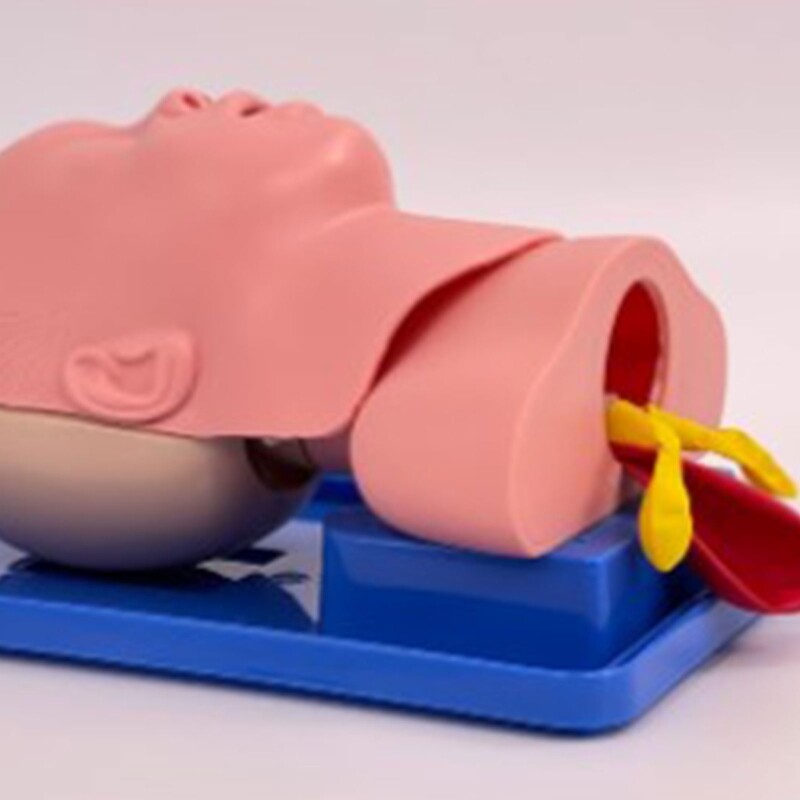 Human Baby Tracheal Intubation Training Model