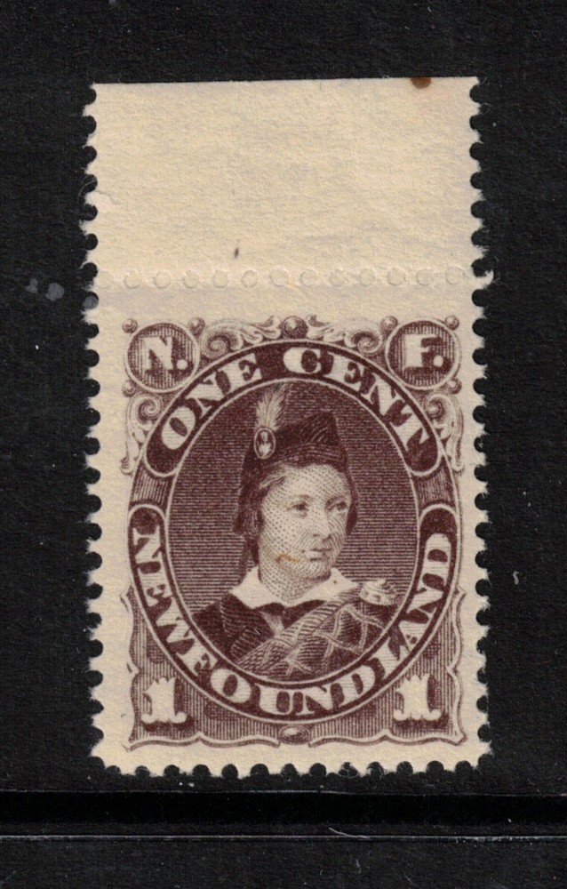 Newfoundland #43 Very Fine+ Never Hinged **With Certificate**