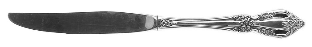 Oneida Silver Raphael  Modern Hollow Knife 499540