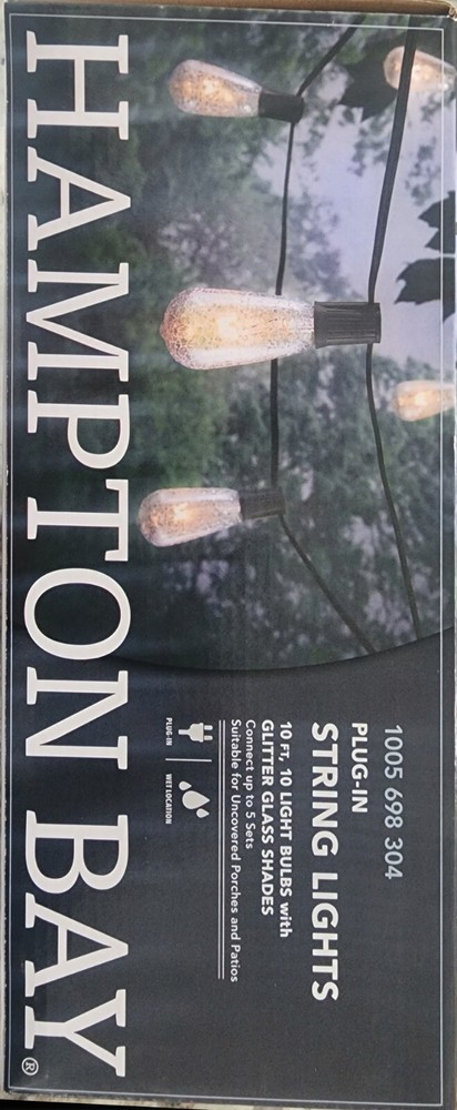 Hampton Bay Outdoor/Indoor 10 ft. Plug-In Incandescent ST40 Bulb String Light