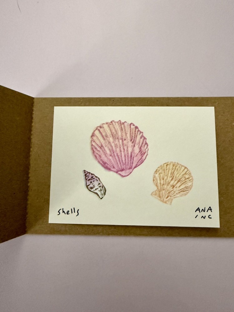 Ana Inciardi mini prints - Shells