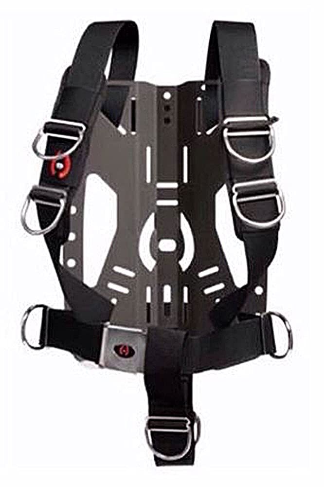 Hollis DT Backplate System