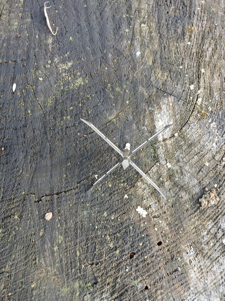 Archery turkey bird razor head