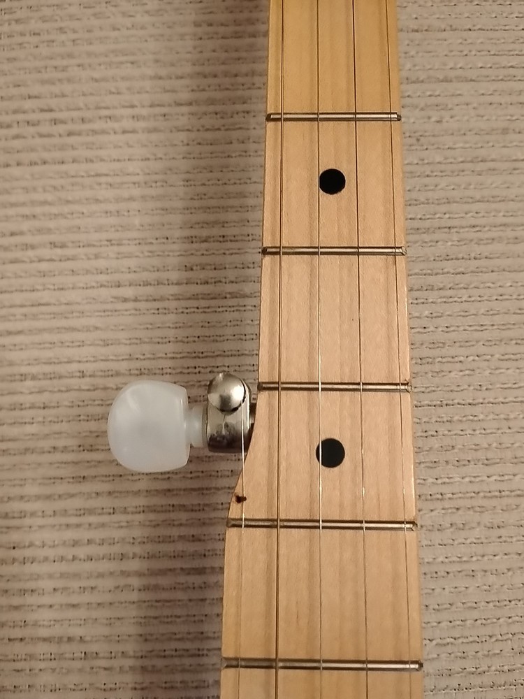 DEERING BANJO GOODTIME Maple 5 String - With Soft case