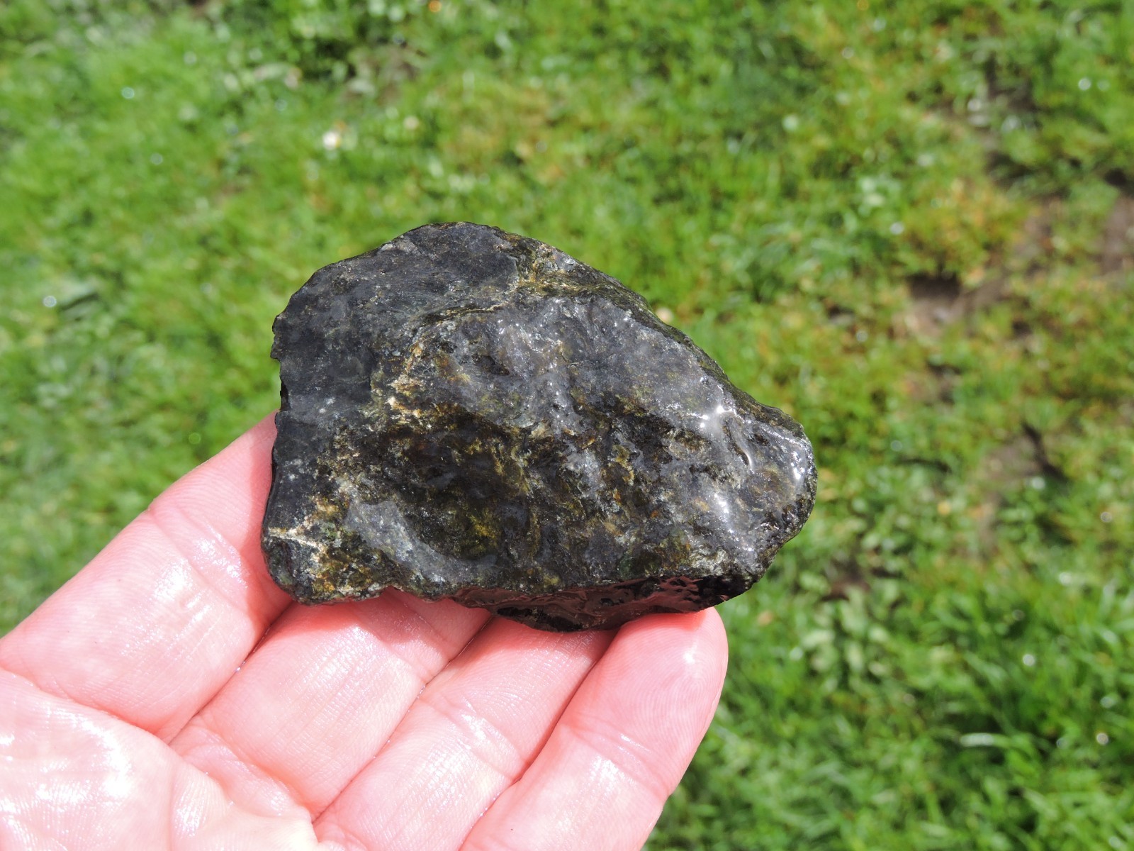 OREGON DARK GREEN SERPENTINE Rough Stones. *MAGNETIC* 100% Natural (8 lb)