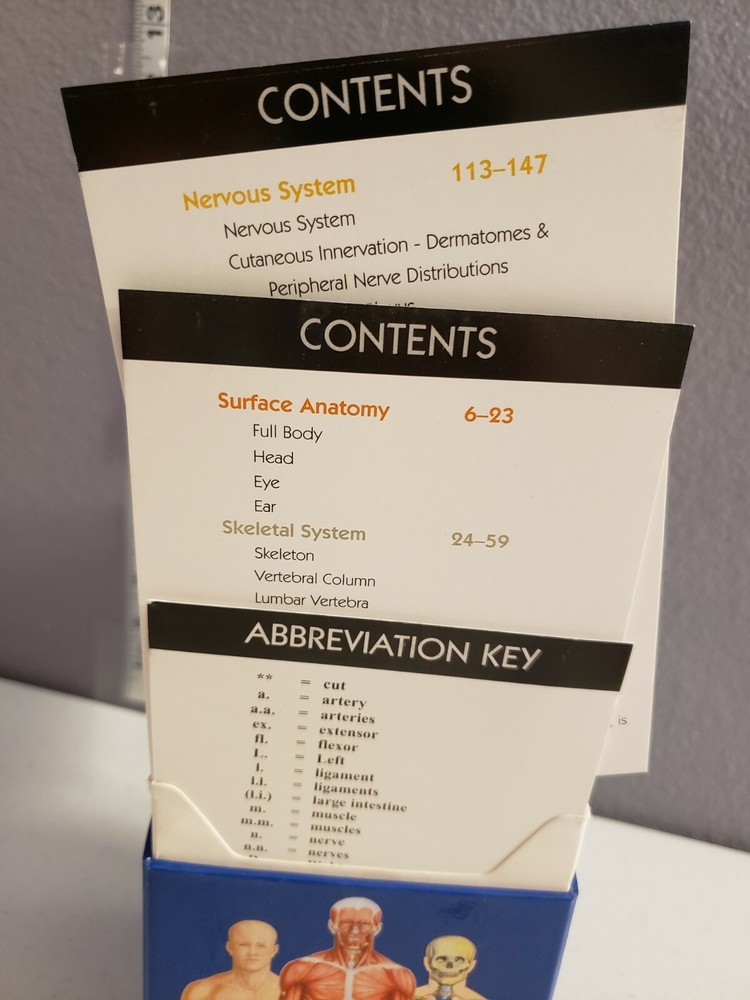 Medical Human Anatomy Educational Flash Cards