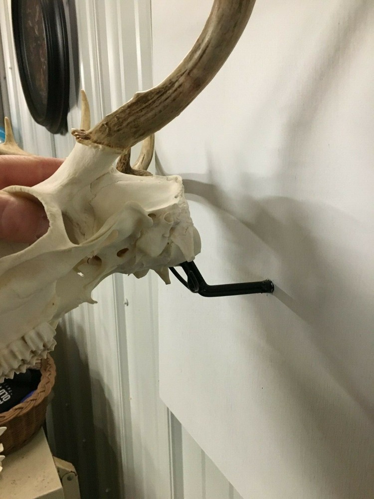 European Deer Mounting System
