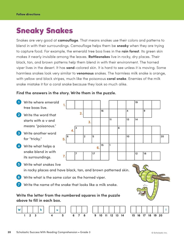 Scholastic Success with Reading Comprehension Grade 3 Workbook