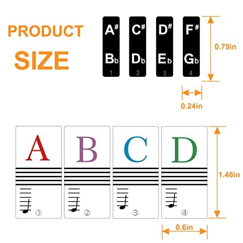 Piano Stickers Keyboard Key Note: Removable Piano Keyboard Note Multicolour