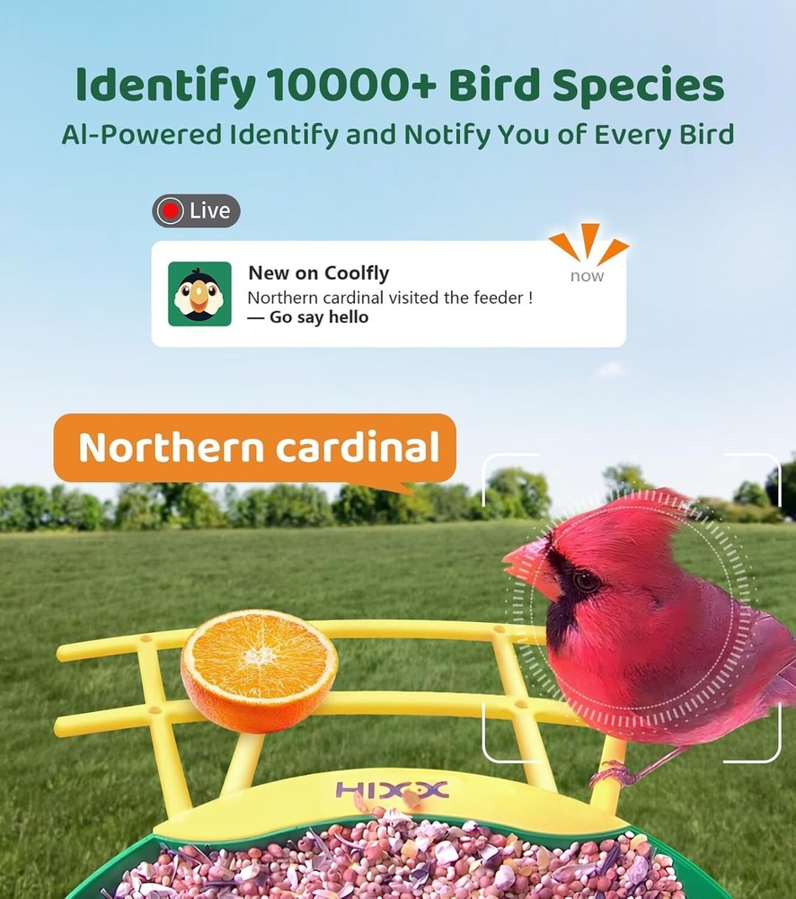 Bird Feeder with Camera Solar Powered, 2K Resolution Bird Camera Auto Capture