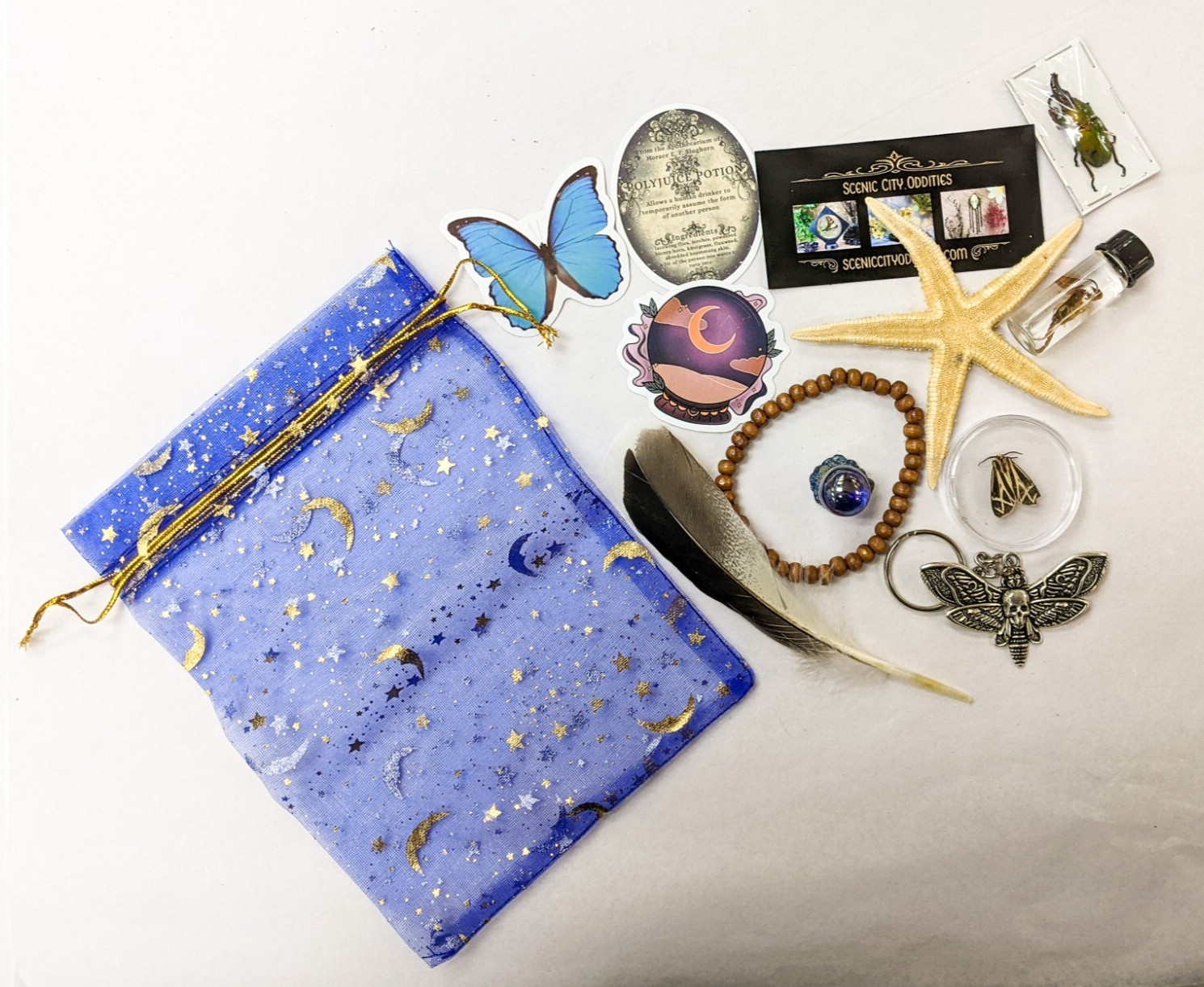 MYSTERY Lot BOX Small Curiosity or Oddity box 4 / 6 item gift surprise package