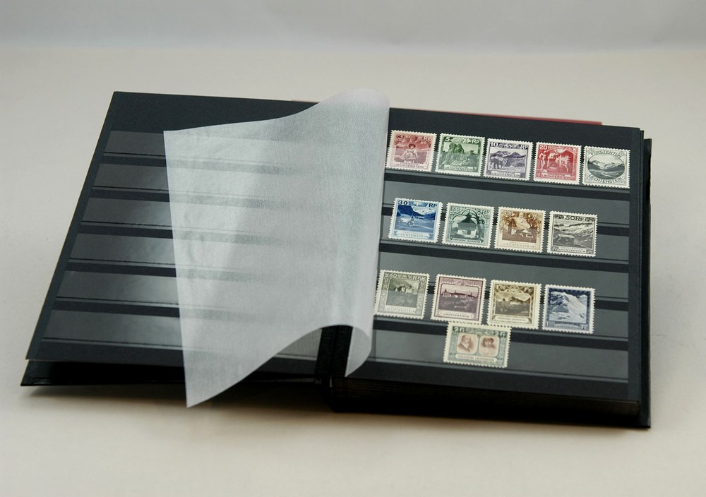 Lighthouse 32 Pg. Hardcover Stockbook (6 1/2" X9") Black - LS2/16 Free Shipping