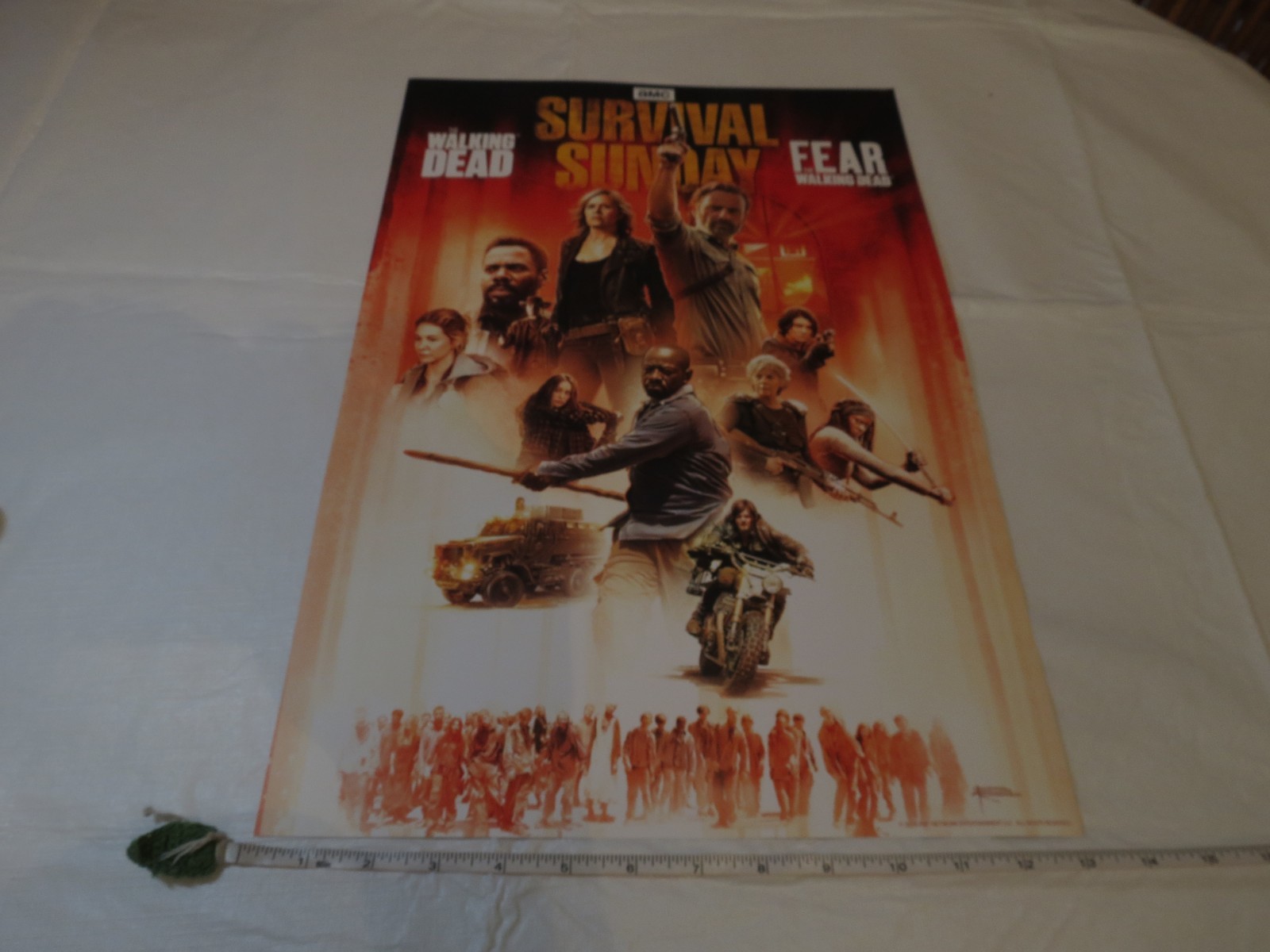 Walking Dead Fear the Walking DEAD AMC poster for Movie RARE WD FTWD MINI 2018