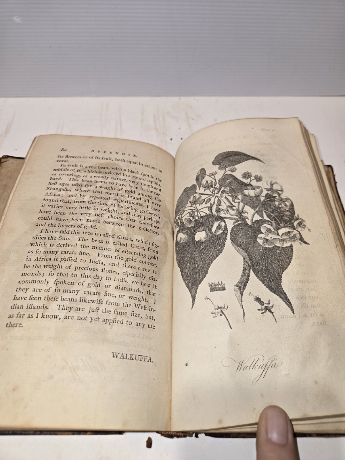 Bruce's TRAVELS TO DISCOVER THE SOURCE OF THE NILE 1768-1773 1st Complete Set