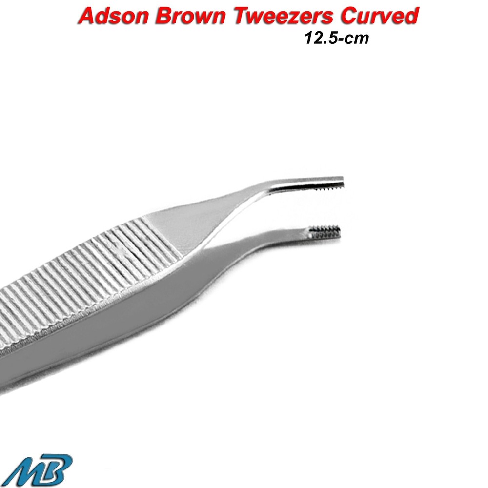 Minor Surgery Dissection Dissecting Student Examination Veterinary Instruments