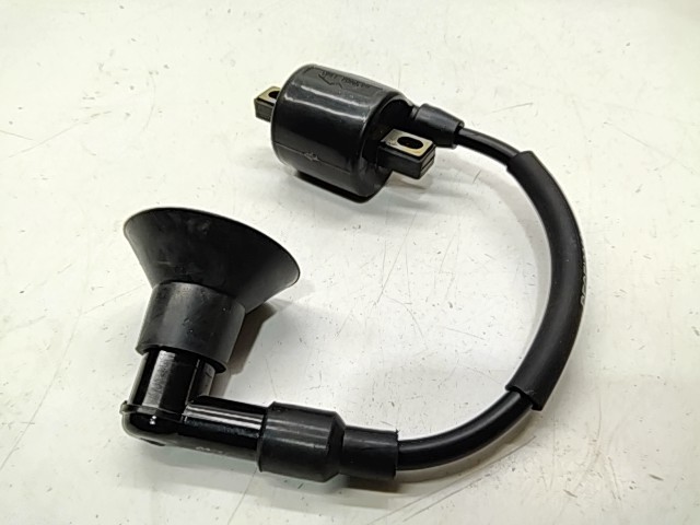 Ingition Coil - 2000 Polaris NOS